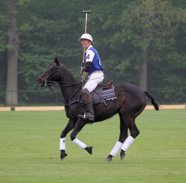 Polo_Art   047.jpg